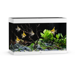 Rio 290 LED White